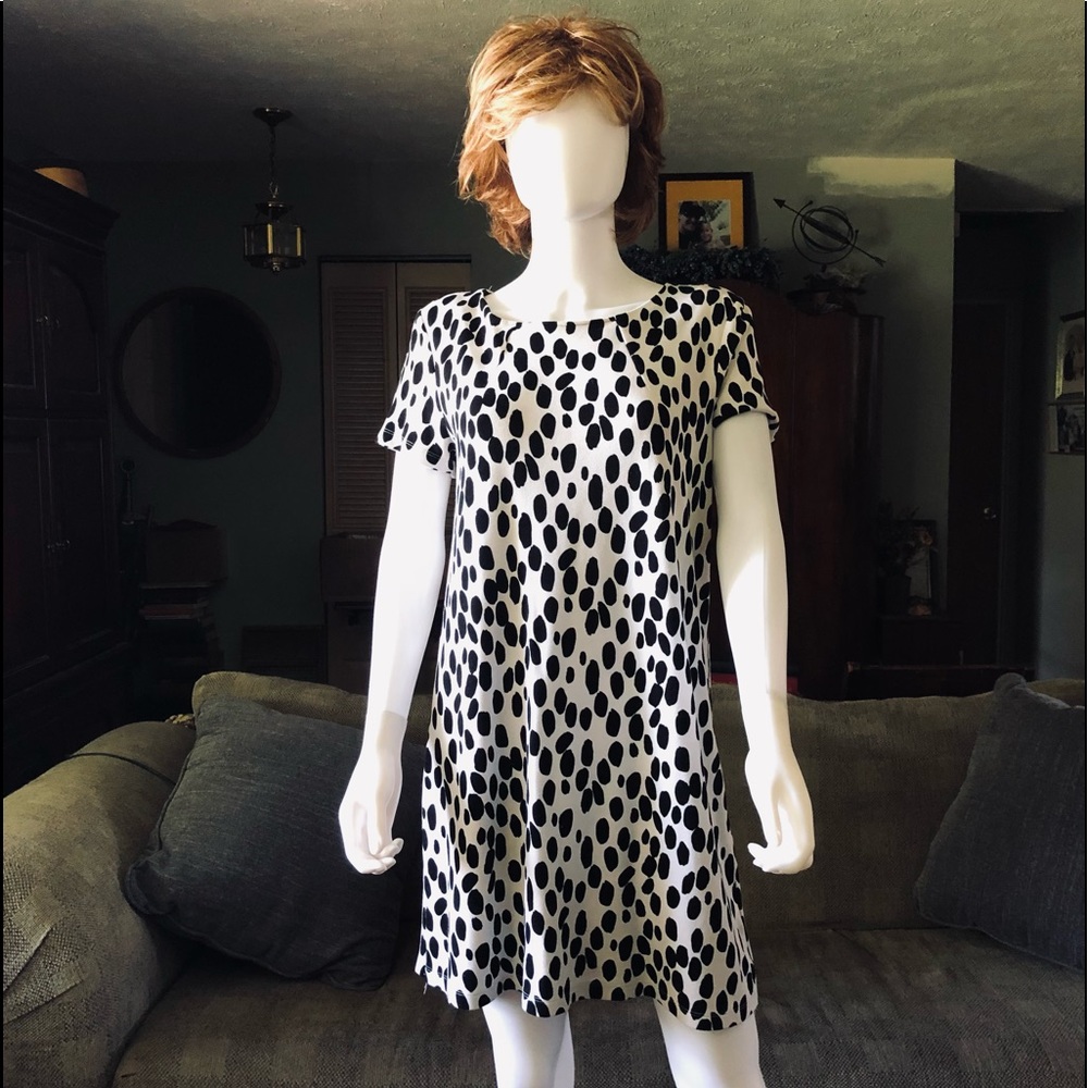 H&M Ladies Sz Lg. Shortsleeve dress with zip back. Ivory & black Dalmation spots